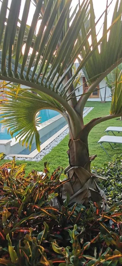 לאס טרנאס Flor De Coco, Villa Neuve, 5 Chambres, 5 Salles De Bains Et Grande Piscine A 250 Metres De La Plage הרפובליקה הדומיניקנית